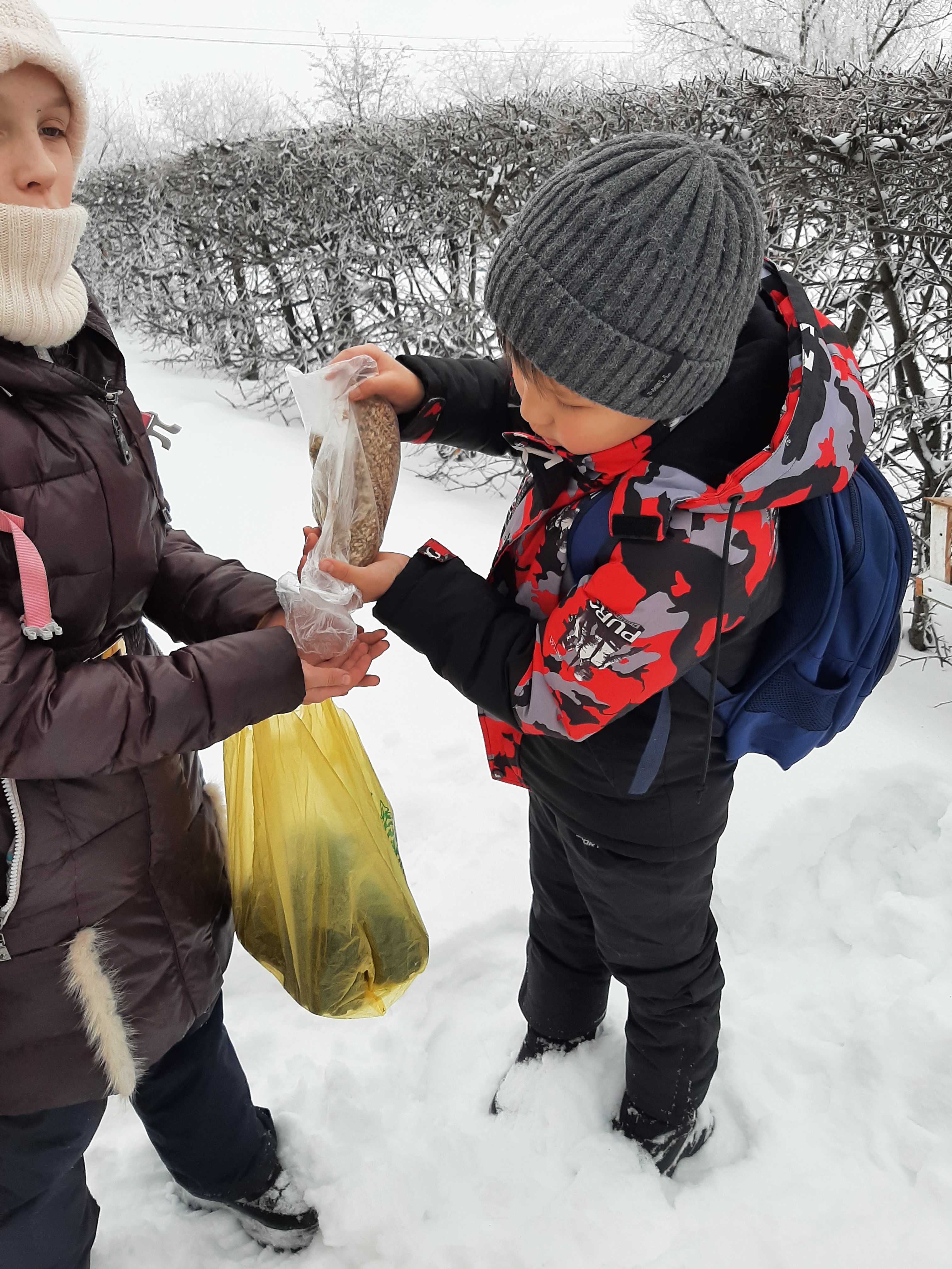 Покормим птиц.